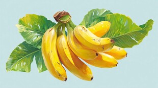 手绘鲜黄香蕉配绿叶