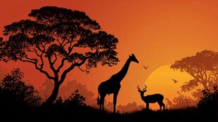 黄昏下的草原动物剪影