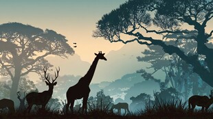 非洲草原动物剪影景观