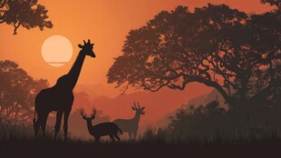 黄昏下的野生动物剪影