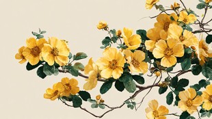 金黄绽放的娇艳蔷薇花枝