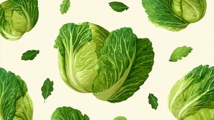 卷心菜图案背景图