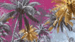 梦幻粉蓝背景下的棕榈树