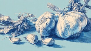 蓝调素描风的大蒜静物画