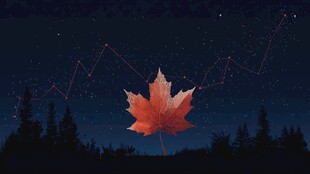 夜空中的枫叶与星座美景