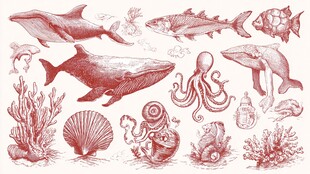 海洋生物手绘插画集合