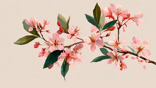 粉色烂漫花枝图