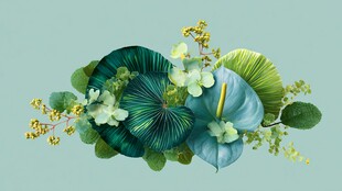 清新蓝绿系花卉植物组合