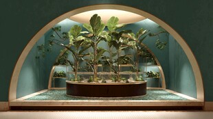 室内拱形绿植景观展示