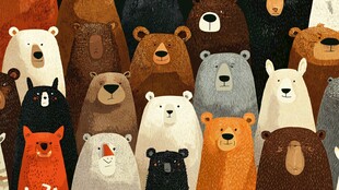 一群萌态各异的可爱小熊