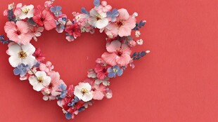 心形花卉花环 浪漫装饰