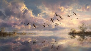 日暮飞鸟过湖面美景