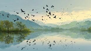 群鸟翱翔于山水湖畔间