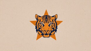 老虎头像于橙色五角星中