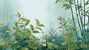 雾中绿野花卉与翠竹