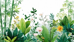 夏日清新植物花卉景观图