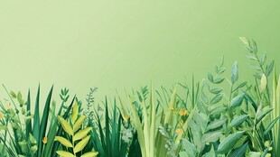 清新绿野植物插画背景