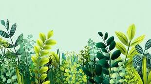 清新绿植背景图