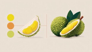 剥开的榴莲 视觉与色彩呈现