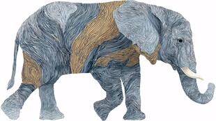 抽象纹理大象艺术插画