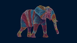 彩色线条勾勒的艺术大象