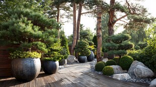 日式禅意庭院景观之美