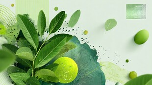 清新绿意植物艺术背景图