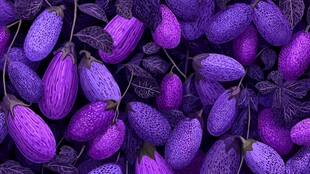 紫色茄子与叶片的迷人组合