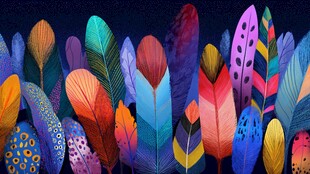 多彩绚丽羽毛艺术插画