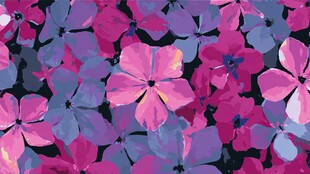 缤纷多彩花卉图案背景