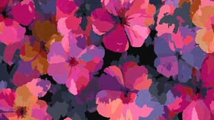 绚丽多彩花卉图案背景