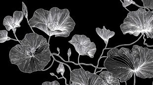 黑白花卉线条艺术图案