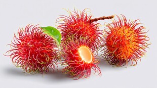 红毛丹鲜果展示