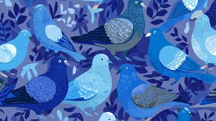 蓝调鸽子与枝叶图案