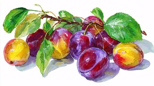 水彩绘多彩李子与绿叶