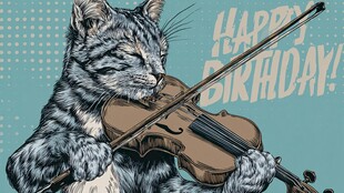 猫咪拉小提琴庆生画面