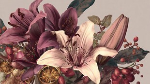 梦幻紫白百合花插画