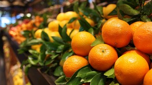 超市里新鲜的柑橘类水果