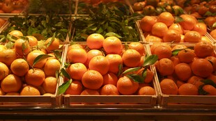 新鲜柑橘整齐陈列售卖