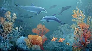 梦幻海底的海豚与多彩生物
