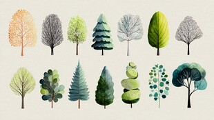 多样风格树木插画集合