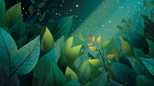 梦幻森林中的微光植物