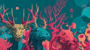 奇幻动物与梦幻海底世界