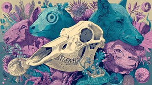 奇幻动物与骷髅的梦幻场景