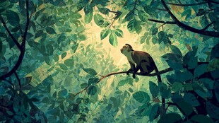 丛林中静坐的猴子