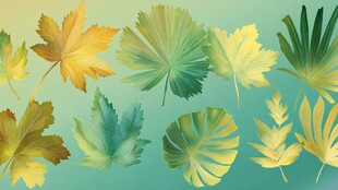 缤纷秋叶插画 清新自然风