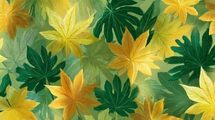 黄绿相间的多彩叶片图案