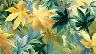 秋叶斑斓背景图