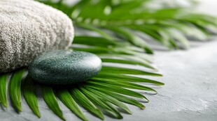 石上毛巾与翠绿叶片组合