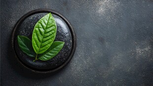 绿叶置于黑石上的清新画面